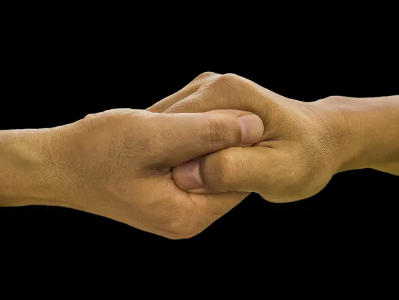 BlueFox Casino Podrška